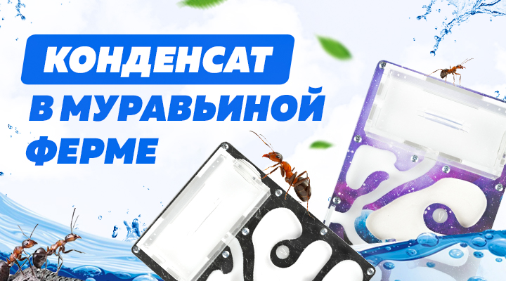 Почему появляется конденсат в муравьиной ферме и как его убрать